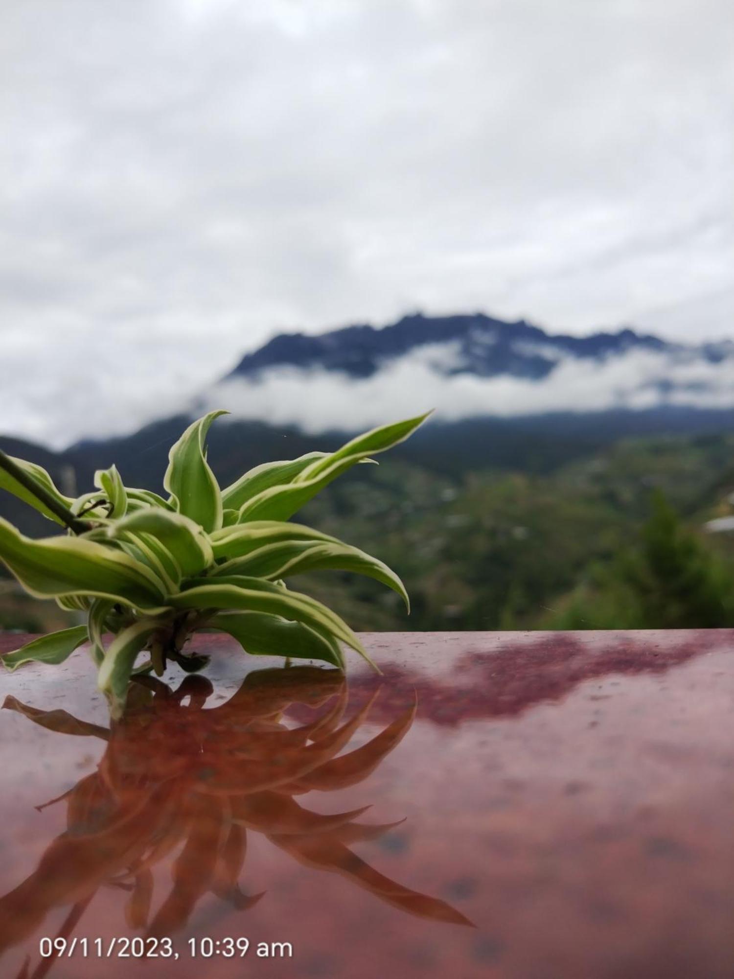 Homestay Highland Kundasang Ranau